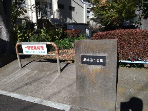 相模原市南区鵜野森、マンションの画像です