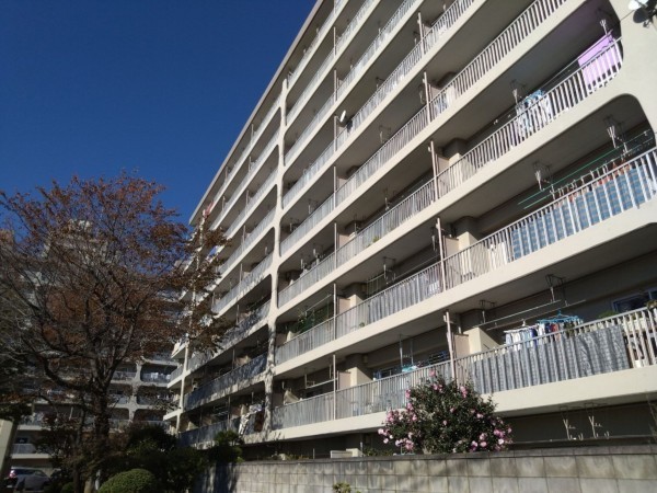 相模原市南区鵜野森、マンションの画像です