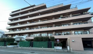 相模原市南区双葉、マンションの画像です