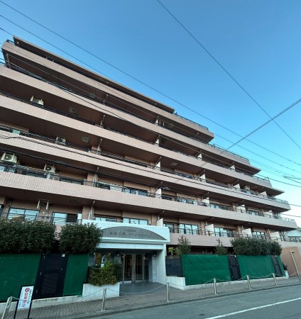 相模原市南区双葉、マンションの画像です