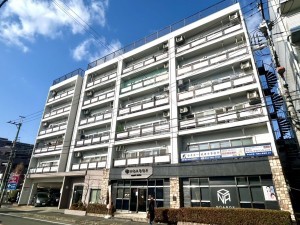 相模原市南区上鶴間本町、マンションの画像です