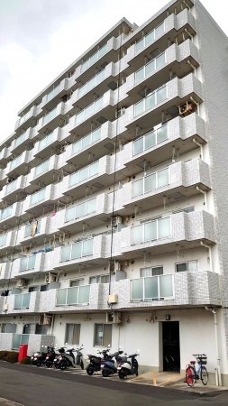 相模原市南区麻溝台、収益物件/マンションの画像です
