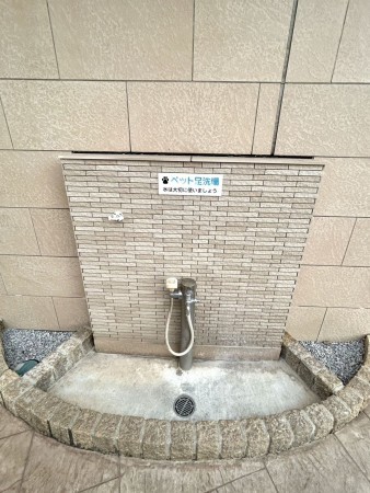 相模原市南区上鶴間本町、マンションの画像です