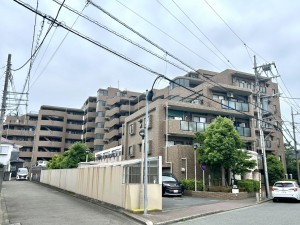 相模原市南区上鶴間本町、マンションの画像です