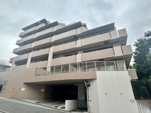 相模原市南区上鶴間本町、マンションの画像です