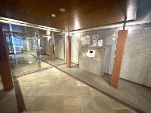 相模原市南区上鶴間本町、マンションの画像です