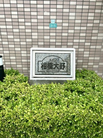 相模原市南区上鶴間本町、マンションの画像です