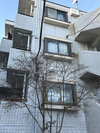 相模原市南区南台、マンションの画像です