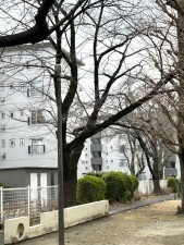 相模原市南区相模台、マンションの画像です