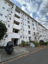 相模原市南区相模台、マンションの画像です