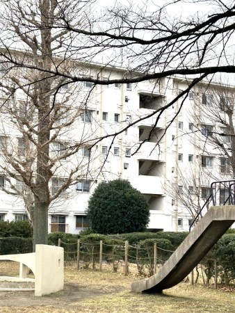 相模原市南区相模台、マンションの画像です