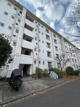 相模原市南区相模台、マンションの画像です