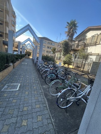 相模原市南区相模大野、マンションの画像です