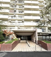 相模原市南区上鶴間、マンションの画像です