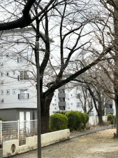 相模原市南区相模台、マンションの画像です