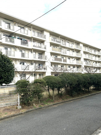 相模原市南区相模台、マンションの画像です