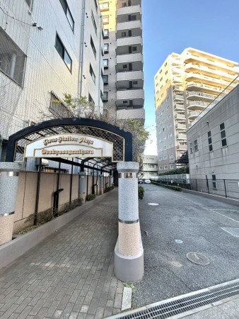 相模原市南区相南、マンションの画像です