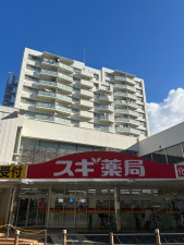相模原市南区相模大野、マンションの画像です
