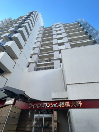 相模原市南区相模大野、マンションの画像です
