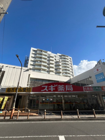 相模原市南区相模大野、マンションの画像です