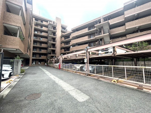 相模原市南区鵜野森、マンションの画像です