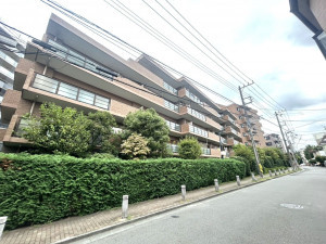 相模原市南区鵜野森、マンションの画像です
