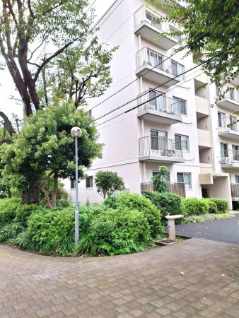 相模原市南区新磯野、マンションの画像です