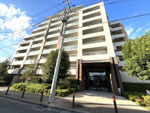 相模原市南区文京、マンションの画像です