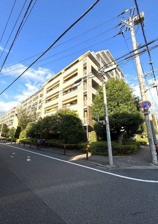 相模原市南区文京、マンションの画像です