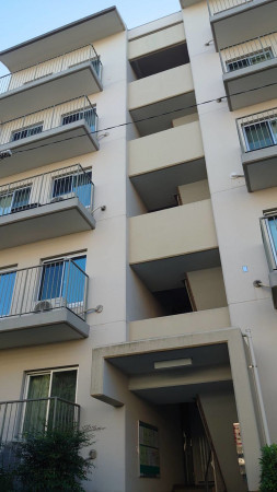 相模原市南区新磯野、マンションの画像です