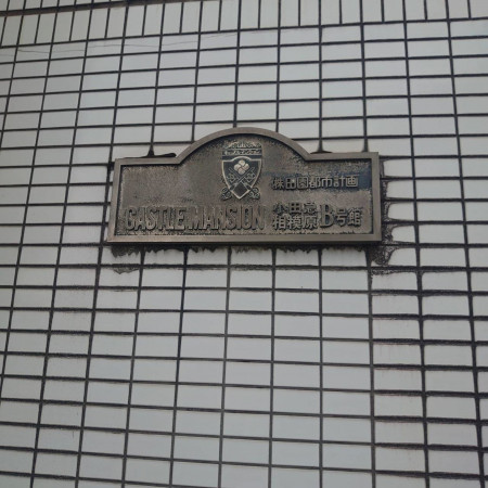 相模原市南区東林間、マンションの画像です
