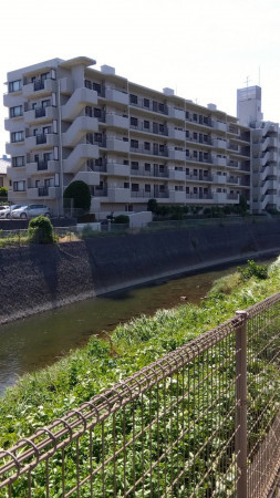 相模原市南区上鶴間本町、マンションの画像です