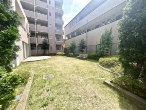 相模原市南区相模大野、マンションの画像です