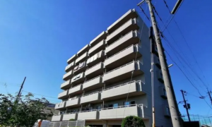 泉南市信達大苗代、マンションの外観画像です