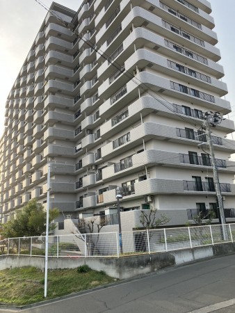 仙台市宮城野区大梶、マンションの画像です