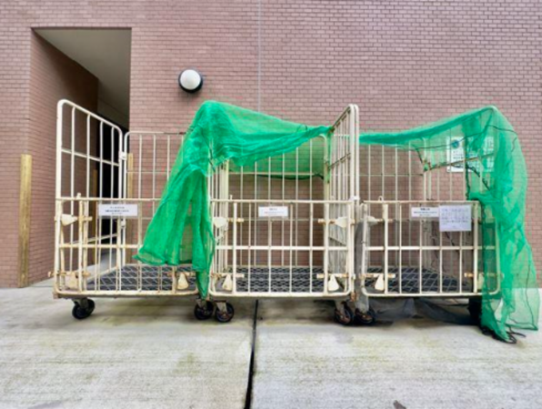 八王子市八日町、マンションの画像です