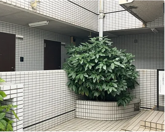八王子市子安町、マンションのその他画像です