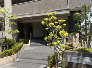 佐賀市卸本町、中古マンションの外観画像です
