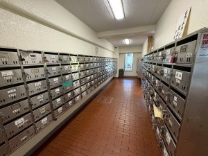 江東区亀戸、マンションのエントランス画像です