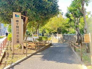 江東区南砂、マンションの周辺の街並み画像です