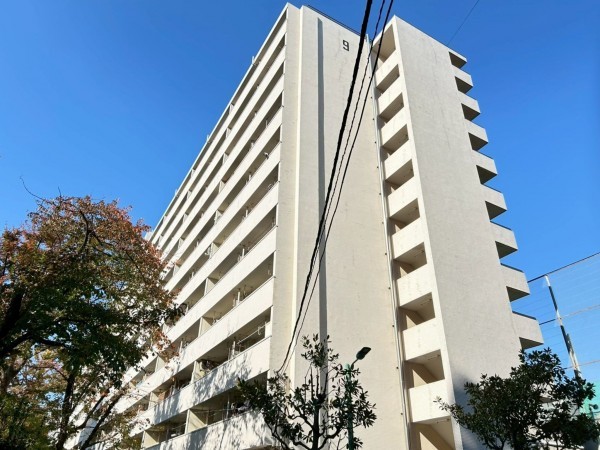 江東区亀戸、マンションの外観画像です