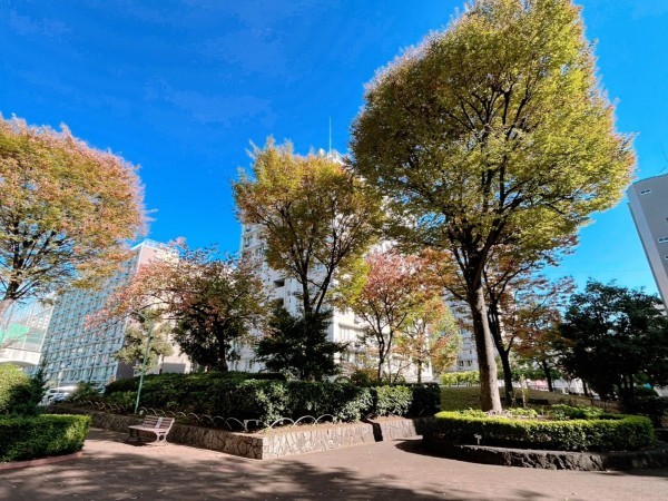 江東区亀戸、マンションの周辺画像画像です