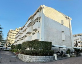 江東区猿江、マンションの外観画像です