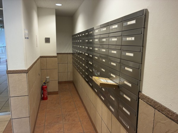 江東区亀戸、マンションの画像です