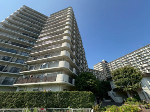 江東区亀戸、マンションの外観画像です