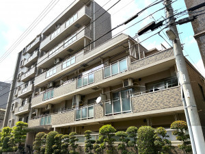 江東区亀戸、マンションの画像です