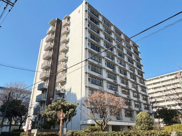 江東区亀戸、マンションの外観画像です