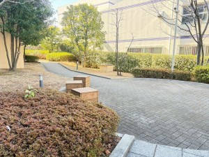 江東区亀戸、マンションのその他画像です