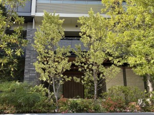 江東区大島、マンションの外観画像です