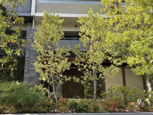 江東区大島、マンションの外観画像です